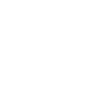 Eye Icon
